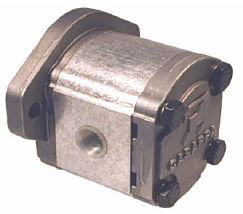 PLP20 - Group 2 SAE-A 2-Bolt*