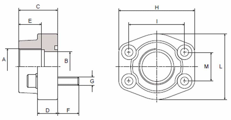 Flange Block BSPP C61