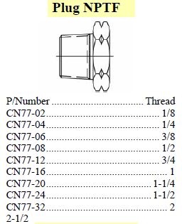 Plug NPTF