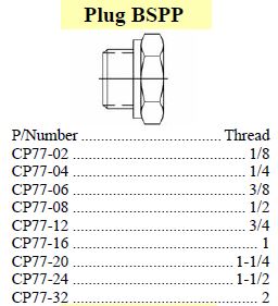 Plug BSPP