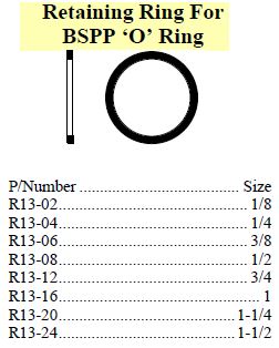 Retaining Ring suit BSPP